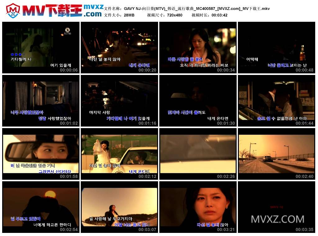 GAVY NJ-向日葵(MTV)_韩语_流行歌曲_MC400587